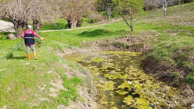 Elazığ’da larva ile mücadele sürüyor