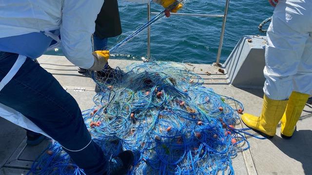 Ordu'da denize kaçak serilen 500 metre kalkan ağı ele geçirildi