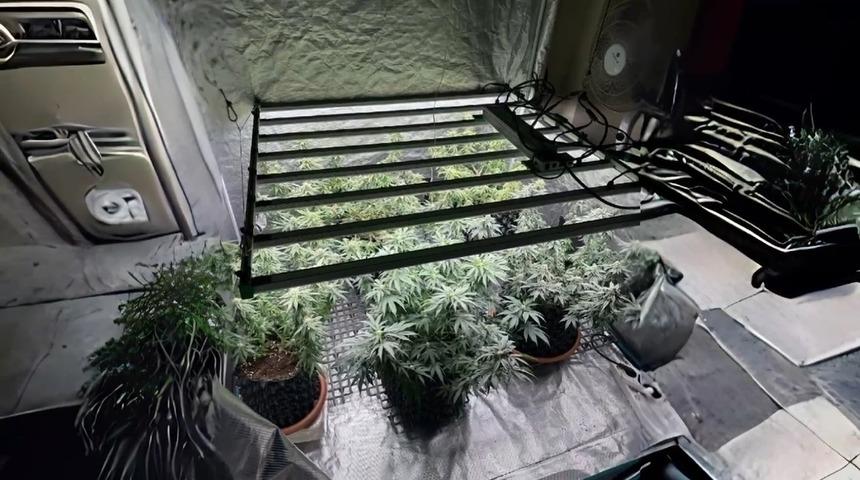 Tekirdağ’da skunk baskını: 1 gözaltı