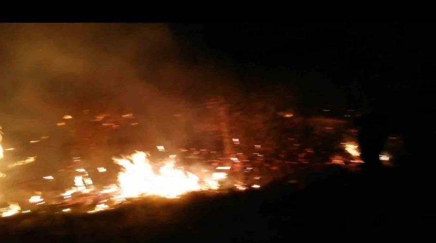 Malatya’da korkutan sazlık yangını... İtfaiye söndürdü