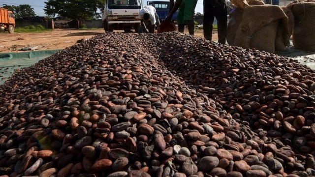 Kakao fiyatları 1980'lerden beri azalıyor
