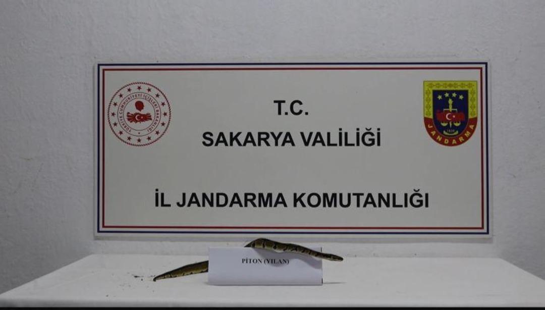 AA-20250425-37744668-37744667-SAKARYADA_BIR_IS_YERINDE_KRALIYET_PITONU_BULUNDU
