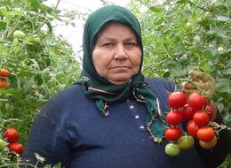 5 bin aile geçimini sağlıyor! Çareyi böyle buldular, pazarda fiyatı 25 TL 'Renk ve kalite güzel'