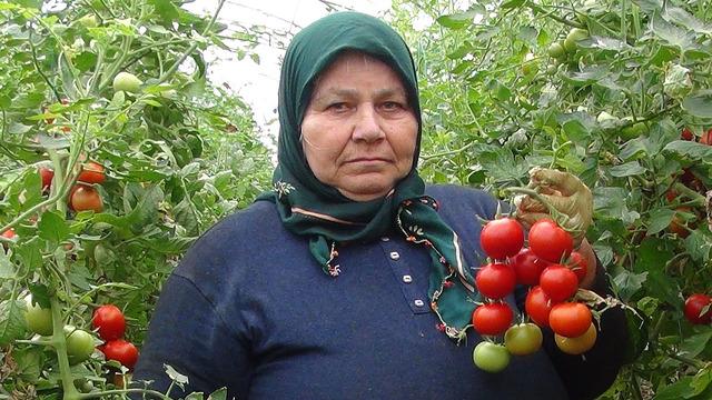 5 bin aile geçimini sağlıyor! Çareyi böyle buldular, pazarda fiyatı 25 TL 'Renk ve kalite güzel'