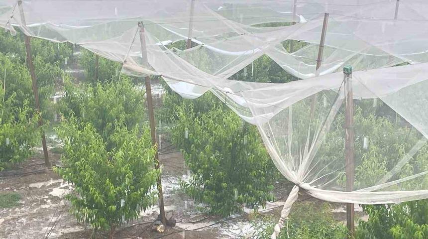 Mersin’de dolu ürünlere zarar verdi