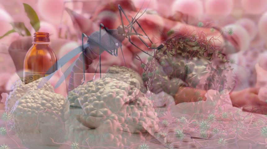 Tropikal tatil tehlikesi! Yüksek ateşle başlıyor, organları çökertiyor! Ölümcül tehdit: Sıtma nasıl bulaşır?... Uzmanlar uyarıyor