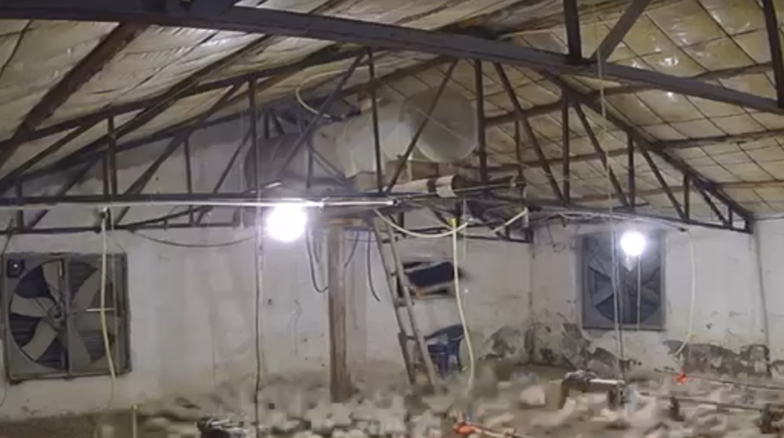 Bolu’da kümese girmeye çalışan ayı kamerada