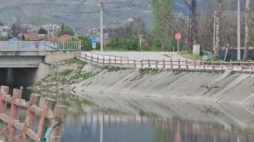 Yeşilırmak Nehri’nde balık ölümleri incelemeye alındı