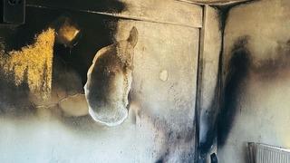 Siirt'te sobadan çıkan kıvılcımlar evi küle çevirdi