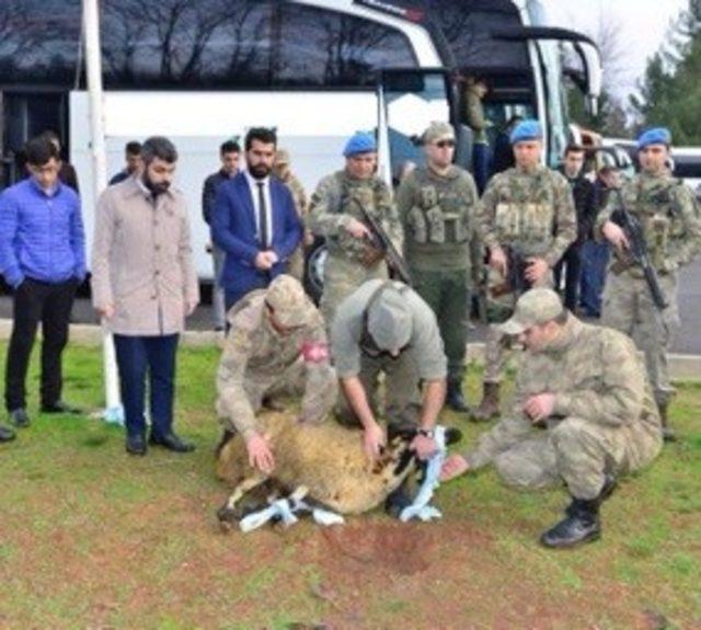 Düğüne gider gibi Afrin’e gittiler