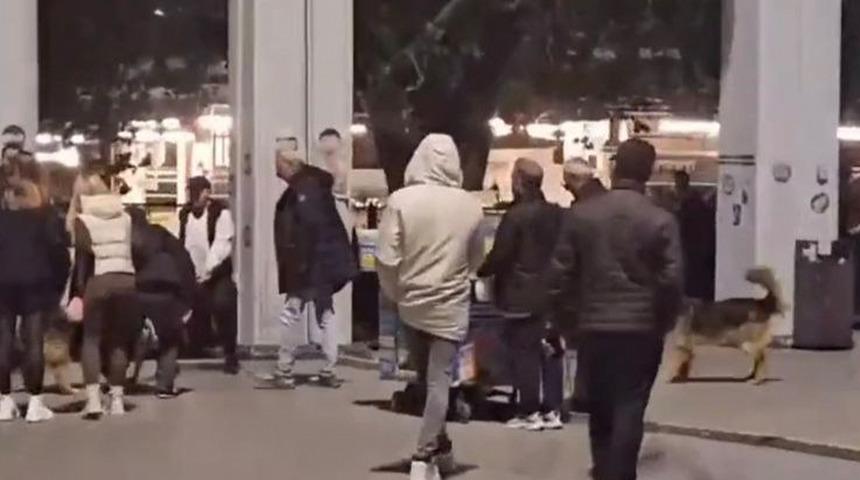 Bakırköy'de ağızlıksız gezdirilen pitbull köpeğe saldırdı! Sahibine para cezası uygulanarak adli işlem başlatıldı