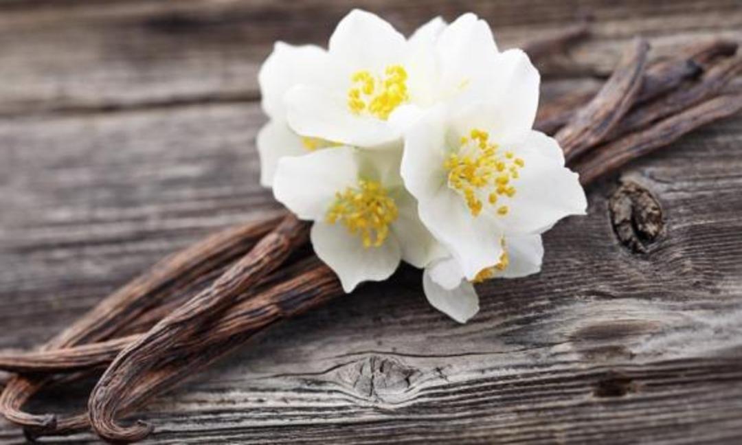 Her gelen soracak! Evde kullanabileceğiniz koku önerileri 3