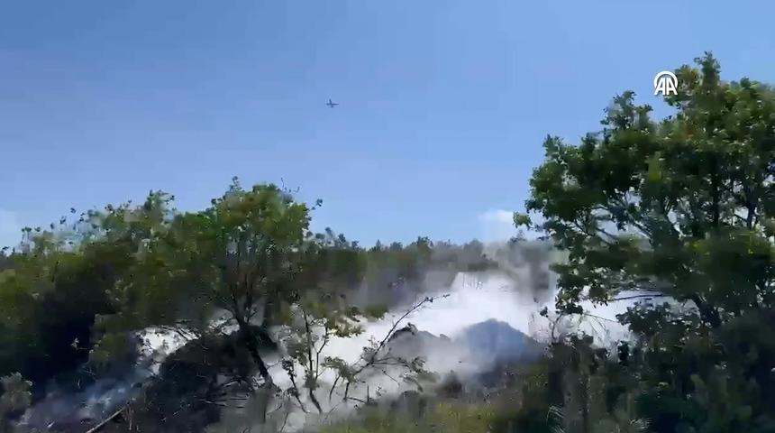 Arnavutköy'de ormanlık alanda çıkan yangın söndürüldü