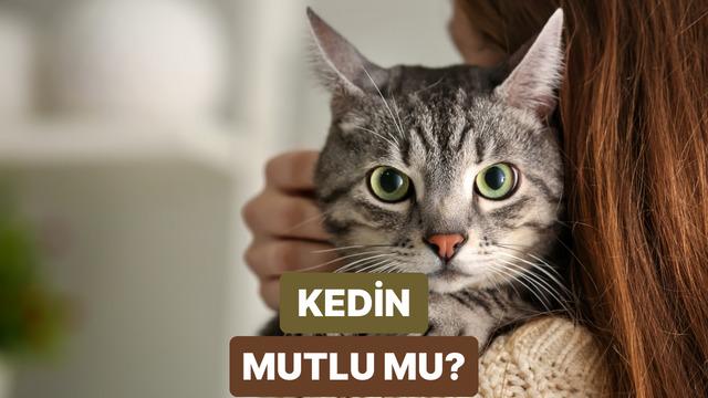 Kedini mutlu edecek şey bu testin sonunda! 