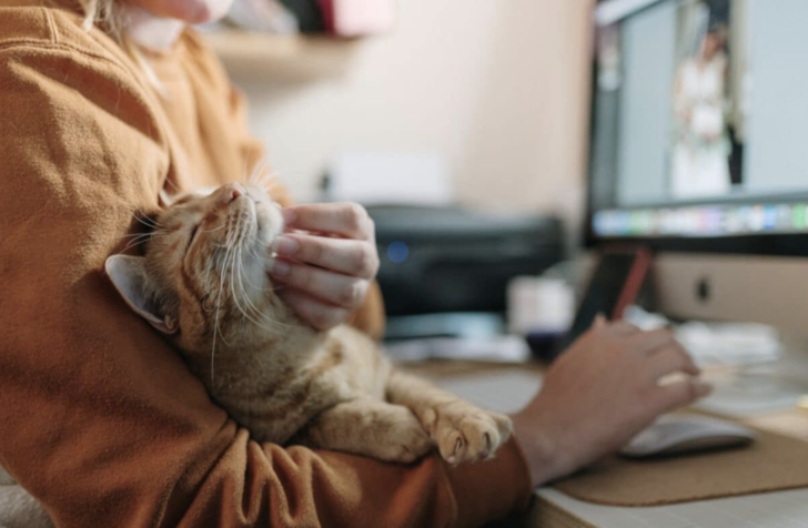 Kedine bir sürpriz yapmak istediğinde aklına gelen ilk şey ne olur?