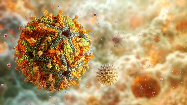 Sarıhumma nedir? Sarıhumma hastalığı belirtileri, aşısı ve tedavisi