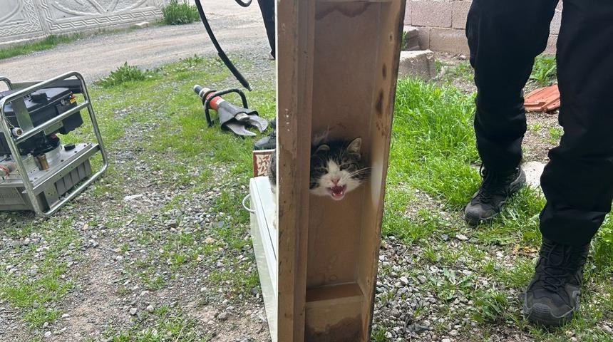 Sivas'ta dolaba sıkışan kediyi itfaiye ekipleri kurtardı