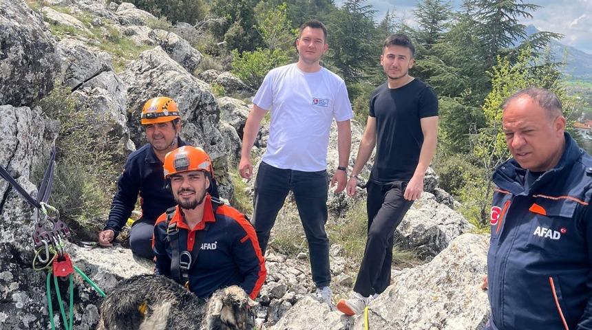 Burdur'da dağlık alanda mahsur kalan keçiyi AFAD kurtardı