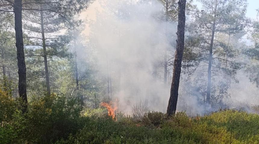 Osmaniye'de ormanlık alanda çıkan yangın söndürüldü