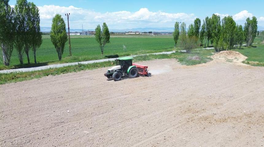 Battalgazi Belediyesi’nden yeşil alanda üretim hamlesi