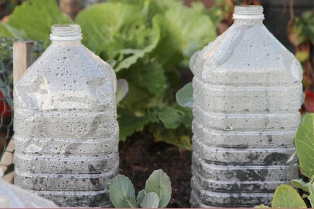 Balkon sezonu açılıyor! Plastik şişelerden saksı tasarlamanın yolları 5
