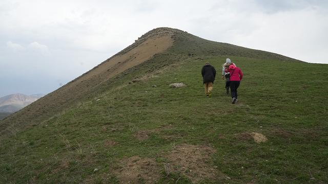 Muş'ta hayvan otlatan köylüler keşfetti! 110 bin ahlat ağacı arasında büyük gizem