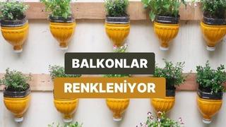 Balkon sezonu açılıyor! Plastik şişelerden saksı tasarlamanın yolları