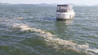 Köyceğiz Gölü'nün kıyısında polen yoğunluğu oluştu