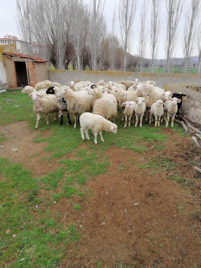 Afyonkarahisar’da asayiş