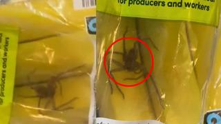 Dünyaca ünlü marketten almışlardı! Muz poşetinin içinden örümcek çıktı! 