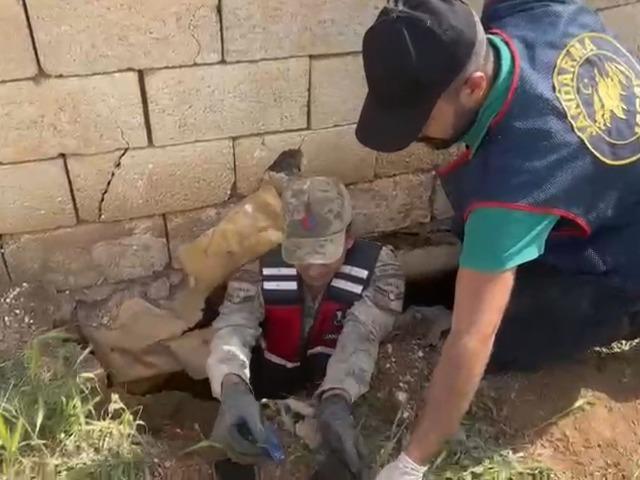 Şanlıurfa'da telefon dolandırıcılığı operasyonu; 5 tutuklama
