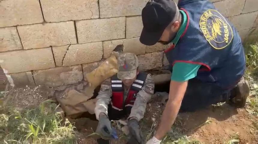 Şanlıurfa'da telefon dolandırıcılığı operasyonu; 5 tutuklama