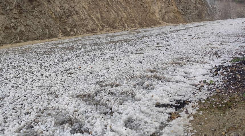 Adana'da ceviz büyüklüğünde dolu yağdı! Tarım arazileri beyaza büründü
