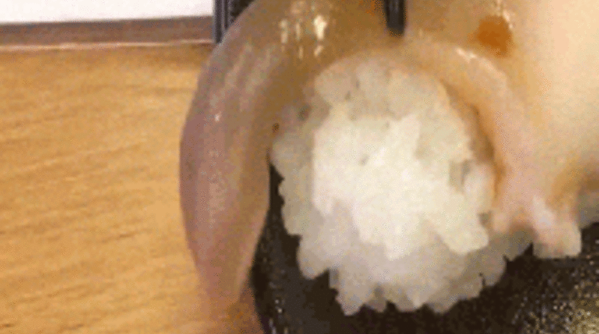 Tabaktaki suşi bir anda canlanınca...