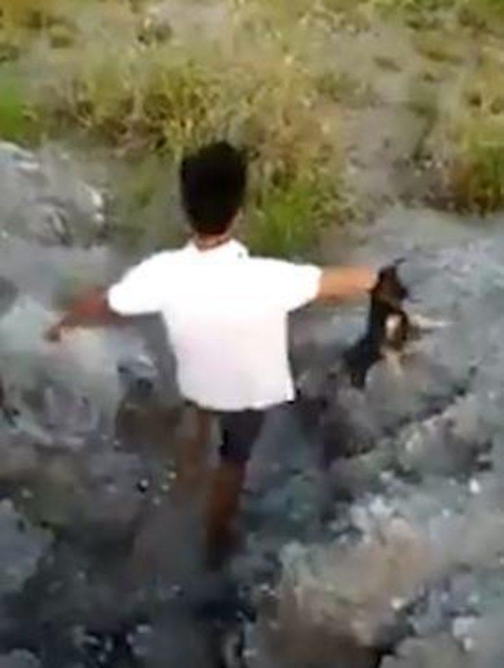 Kan donduran anlar! Köpeği timsaha böyle yem etti G1