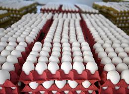 Yumurta fiyatları yüzde 50-55 oranında geriledi! İhracat kısıtlaması etkili oldu