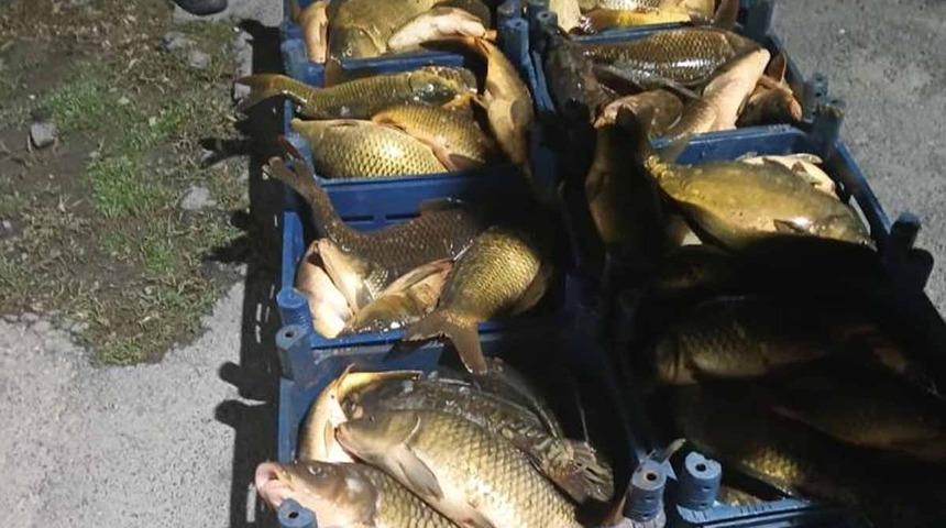 Elazığ’da kaçak avlanılan 210 kilo balık ele geçirildi
