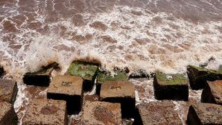 Tekirdağ'da poyraz sahile kırmızı yosun taşıdı