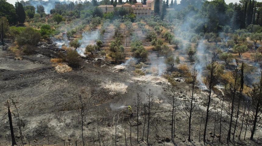 Kudüs'te devam eden yangınlar 5 bin dönümlük alanı küle çevirdi