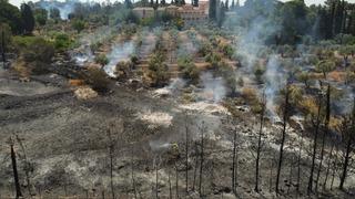 Kudüs'te devam eden yangınlar 5 bin dönümlük alanı küle çevirdi