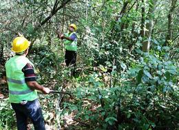 16,5 milyon TL'den fazla! Gelir kapısı oldu... Tonlarca üretim yapılıyor