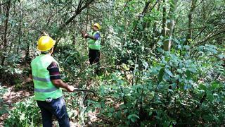 16,5 milyon TL'den fazla! Gelir kapısı oldu... Tonlarca üretim yapılıyor