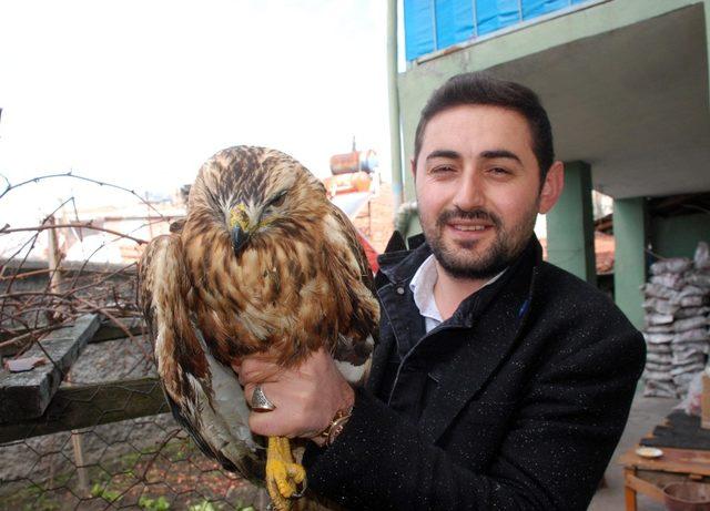 Gece bahçesindeki hayvanı tavuk sandı, şahin çıktı