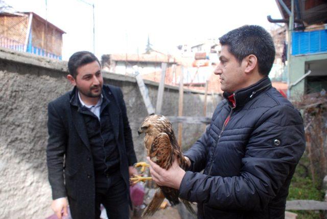 Gece bahçesindeki hayvanı tavuk sandı, şahin çıktı