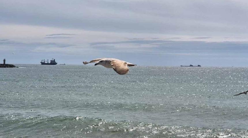 Limana hapsoldular: 5 gündür çıkamıyorlar