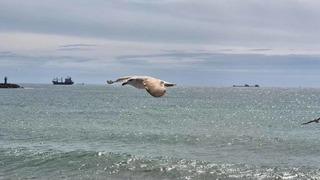 Limana hapsoldular: 5 gündür çıkamıyorlar