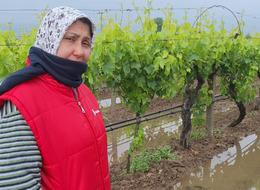 Bahar yağmurları üreticiyi sevindirdi