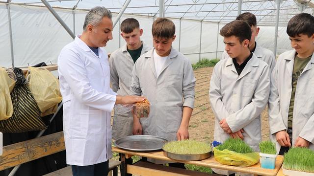 Öğrenciler topraksız tarımla elde ettikleri yeşil yemle hayvancılıkta maliyeti düşürmeyi hedefliyor