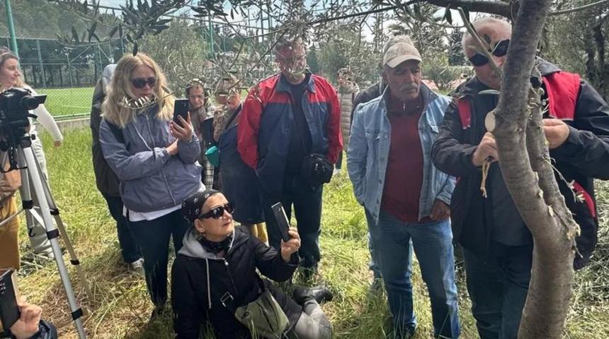 Edremit'te zeytin aşılama eğitimi