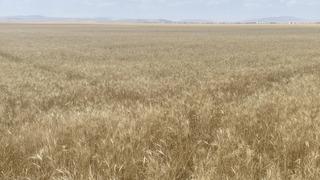 4. Tarım Orman Şurası'nda 371 hedef belirlendi